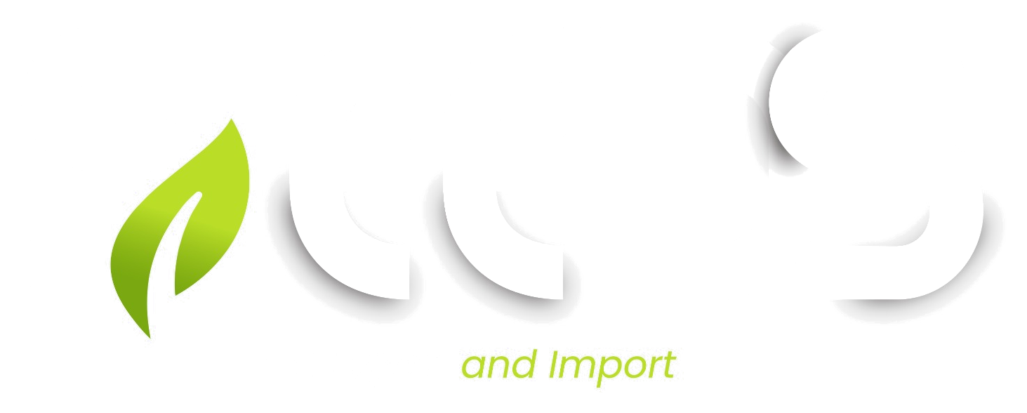 SEEDS logo loading